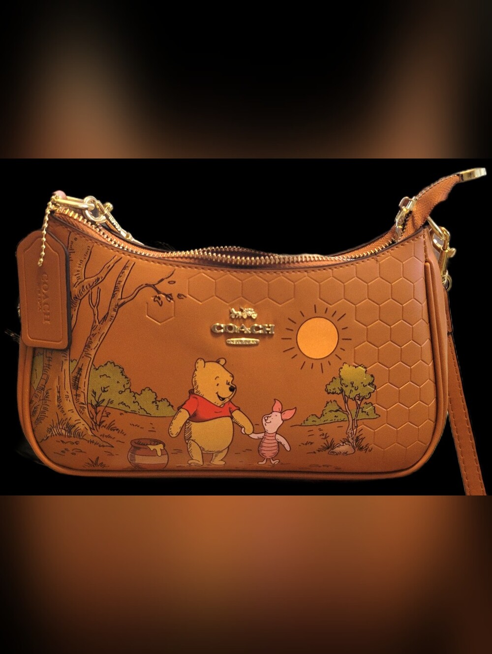 COACH X Disney Winnie the Pooh Brown Leather Shoulder Bag - Picture 3 of 9